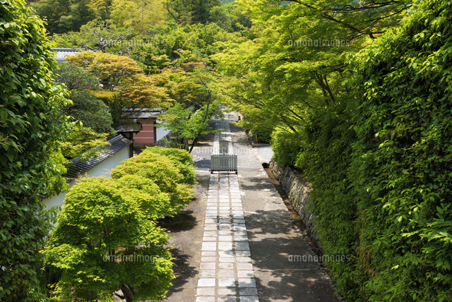 満願寺参道
(c)YOSHITSUGU NISHIGAKI/SEBUN PHOTO