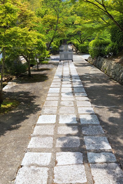 満願寺参道
(c)YOSHITSUGU NISHIGAKI/SEBUN PHOTO