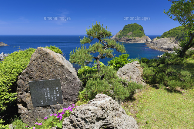 但馬御火浦
(c)YOSHITSUGU NISHIGAKI/SEBUN PHOTO