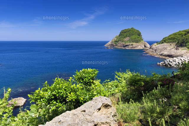 但馬御火浦
(c)YOSHITSUGU NISHIGAKI/SEBUN PHOTO