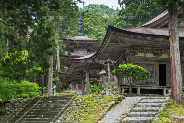 明通寺三重塔と本堂
(c)YOSHITSUGU NISHIGAKI/SEBUN PHOTO
