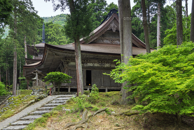 明通寺三重塔と本堂
(c)YOSHITSUGU NISHIGAKI/SEBUN PHOTO