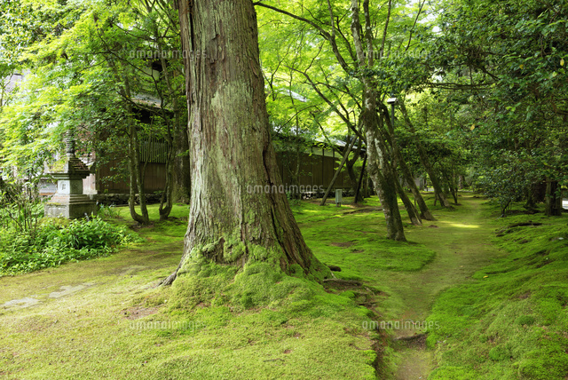 那谷寺
(c)YOSHITSUGU NISHIGAKI/SEBUN PHOTO