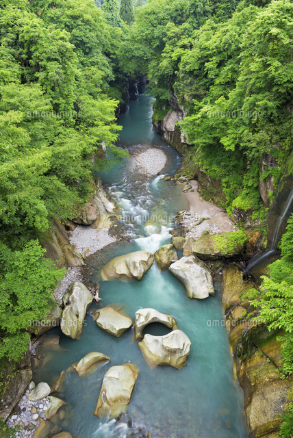 手取渓谷
(c)YOSHITSUGU NISHIGAKI/SEBUN PHOTO