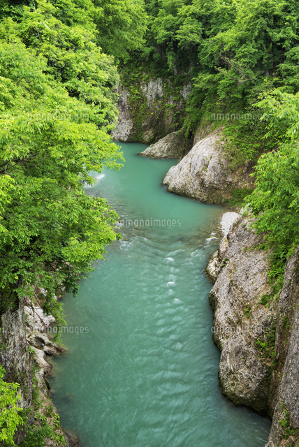 手取渓谷
(c)YOSHITSUGU NISHIGAKI/SEBUN PHOTO