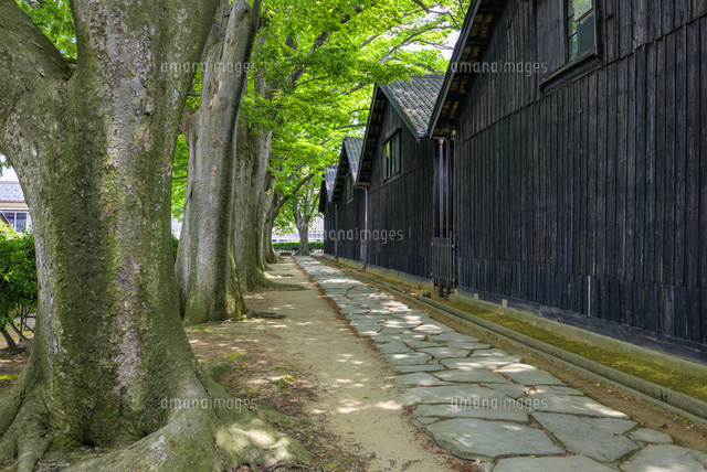 山居倉庫とケヤキ並木
(c)YOSHITSUGU NISHIGAKI/SEBUN PHOTO