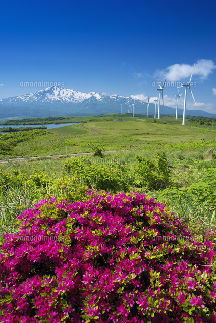 仁賀保高原と鳥海山
(c)YOSHITSUGU NISHIGAKI/SEBUN PHOTO