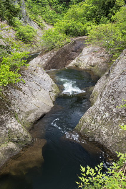 小又峡
(c)YOSHITSUGU NISHIGAKI/SEBUN PHOTO