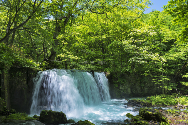 奥入瀬渓流 銚子大滝
(c)YOSHITSUGU NISHIGAKI/SEBUN PHOTO