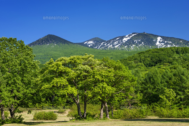 萱野高原より八甲田山
(c)YOSHITSUGU NISHIGAKI/SEBUN PHOTO