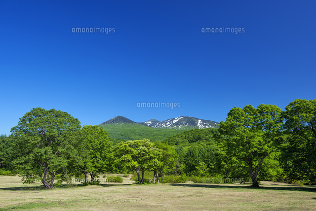 萱野高原より八甲田山
(c)YOSHITSUGU NISHIGAKI/SEBUN PHOTO