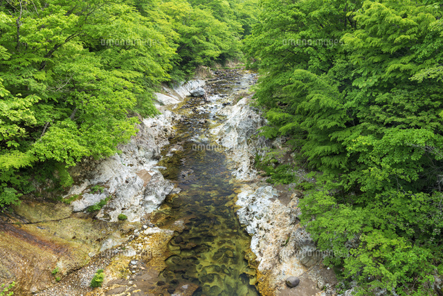 新緑の川内川渓谷
(c)YOSHITSUGU NISHIGAKI/SEBUN PHOTO