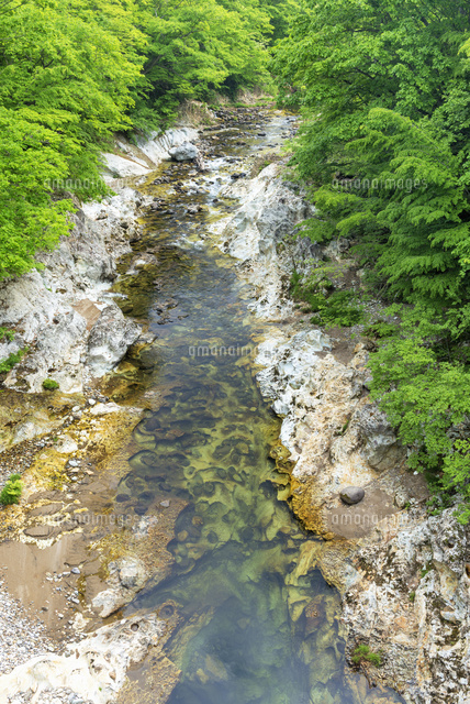 新緑の川内川渓谷
(c)YOSHITSUGU NISHIGAKI/SEBUN PHOTO