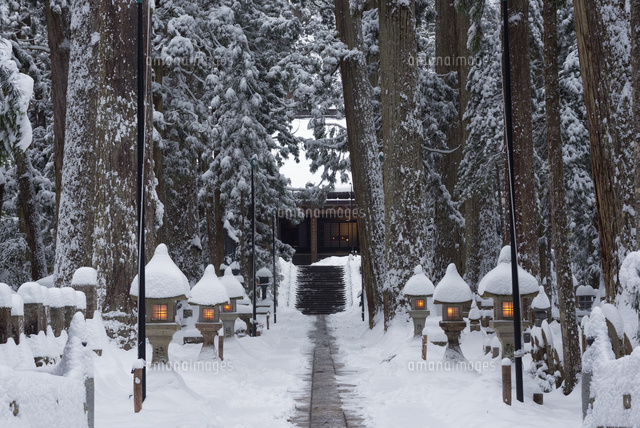 雪の高野山奥の院
(c)YOSHITSUGU NISHIGAKI/SEBUN PHOTO