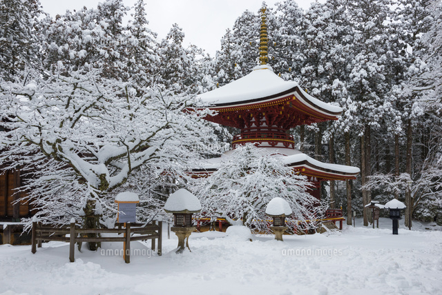雪の高野山東塔
(c)YOSHITSUGU NISHIGAKI/SEBUN PHOTO