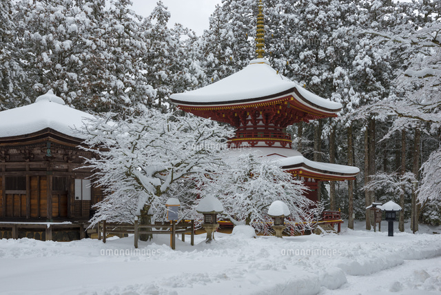 雪の高野山東塔
(c)YOSHITSUGU NISHIGAKI/SEBUN PHOTO