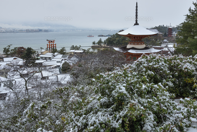 雪の大鳥居と多宝塔
(c)YOSHITSUGU NISHIGAKI/SEBUN PHOTO