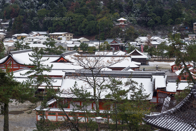 雪の厳島神社
(c)YOSHITSUGU NISHIGAKI/SEBUN PHOTO