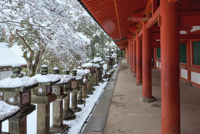 雪の春日大社
(c)YOSHITSUGU NISHIGAKI/SEBUN PHOTO