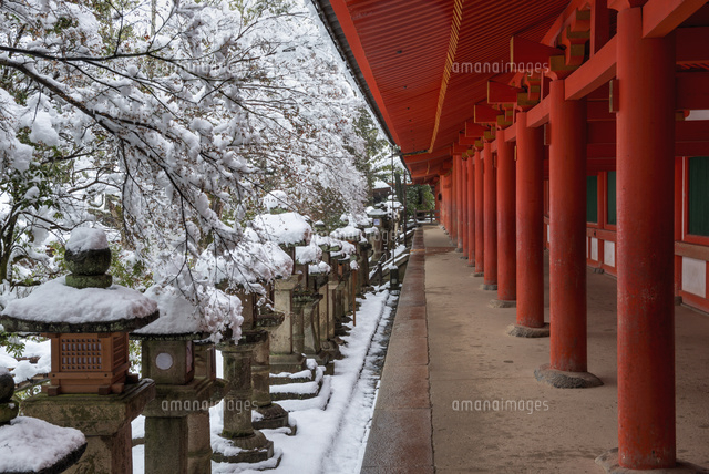 雪の春日大社
(c)YOSHITSUGU NISHIGAKI/SEBUN PHOTO