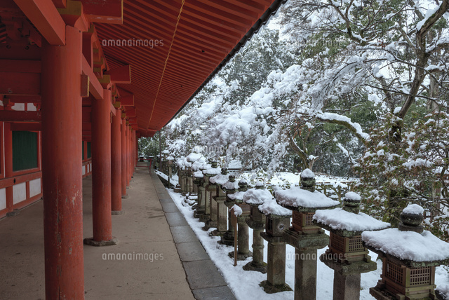 雪の春日大社
(c)YOSHITSUGU NISHIGAKI/SEBUN PHOTO