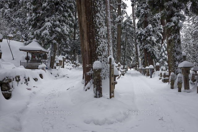 雪の高野山奥の院参道
(c)YOSHITSUGU NISHIGAKI/SEBUN PHOTO