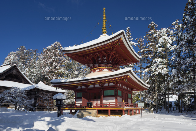 雪の高野山東塔
(c)YOSHITSUGU NISHIGAKI/SEBUN PHOTO