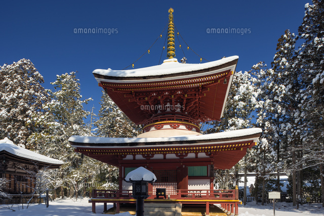 雪の高野山東塔
(c)YOSHITSUGU NISHIGAKI/SEBUN PHOTO