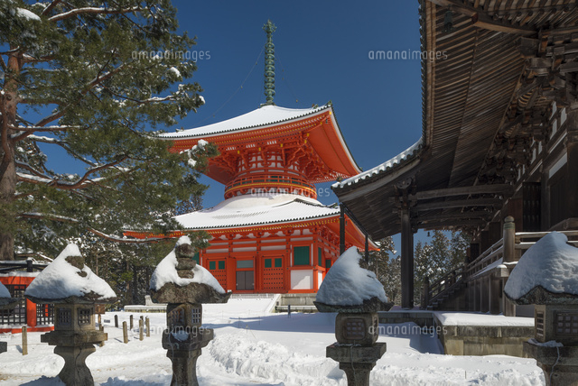 雪の高野山根本大塔
(c)YOSHITSUGU NISHIGAKI/SEBUN PHOTO