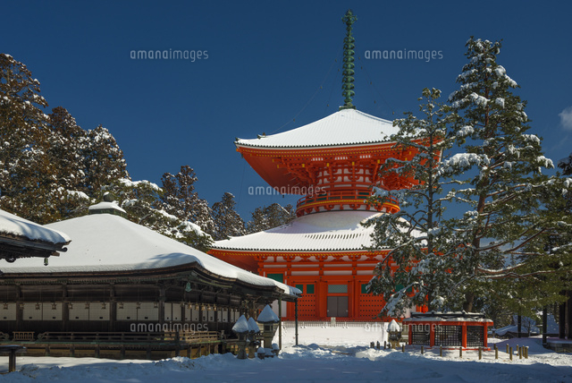 雪の高野山根本大塔
(c)YOSHITSUGU NISHIGAKI/SEBUN PHOTO