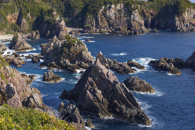 海金剛
(c)YOSHITSUGU NISHIGAKI/SEBUN PHOTO