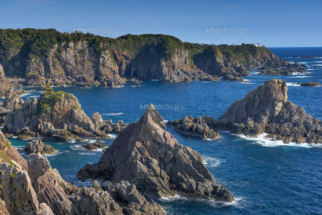 海金剛
(c)YOSHITSUGU NISHIGAKI/SEBUN PHOTO