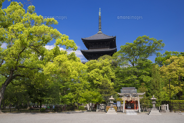 東寺の五重塔
(c)YOSHITSUGU NISHIGAKI/SEBUN PHOTO