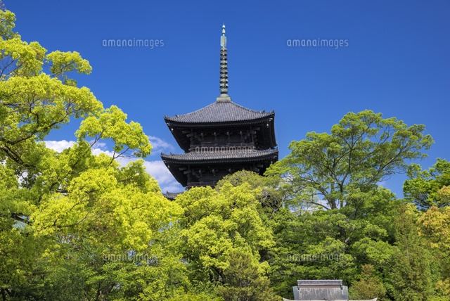 東寺の五重塔
(c)YOSHITSUGU NISHIGAKI/SEBUN PHOTO