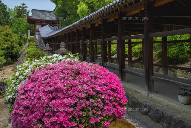 吉備津神社の回廊
(c)YOSHITSUGU NISHIGAKI/SEBUN PHOTO