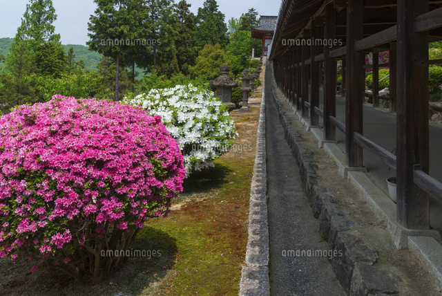吉備津神社の回廊
(c)YOSHITSUGU NISHIGAKI/SEBUN PHOTO