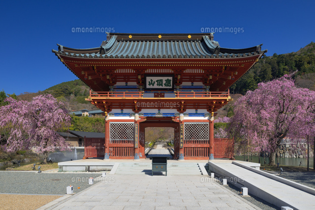 サクラ咲く勝尾寺の山門
(c)YOSHITSUGU NISHIGAKI/SEBUN PHOTO