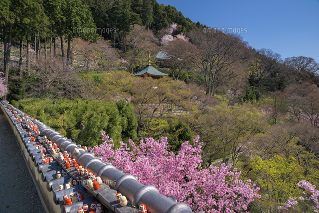 サクラ咲く勝尾寺と多宝塔
(c)YOSHITSUGU NISHIGAKI/SEBUN PHOTO