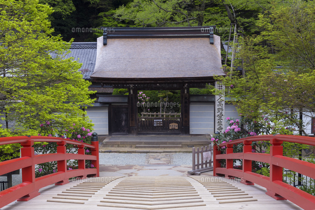 シャクナゲ咲く室生寺
(c)YOSHITSUGU NISHIGAKI/SEBUN PHOTO