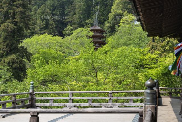長谷寺
(c)YOSHITSUGU NISHIGAKI/SEBUN PHOTO