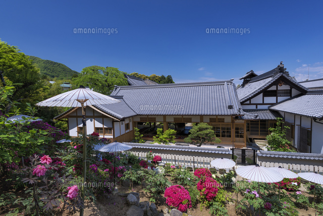 ボタン咲く当麻寺
(c)YOSHITSUGU NISHIGAKI/SEBUN PHOTO