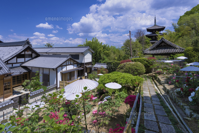 当麻寺
(c)YOSHITSUGU NISHIGAKI/SEBUN PHOTO