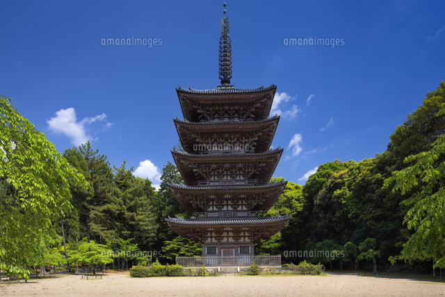 醍醐寺の五重塔
(c)YOSHITSUGU NISHIGAKI/SEBUN PHOTO