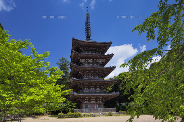 醍醐寺の五重塔
(c)YOSHITSUGU NISHIGAKI/SEBUN PHOTO