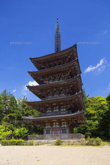 醍醐寺の五重塔
(c)YOSHITSUGU NISHIGAKI/SEBUN PHOTO