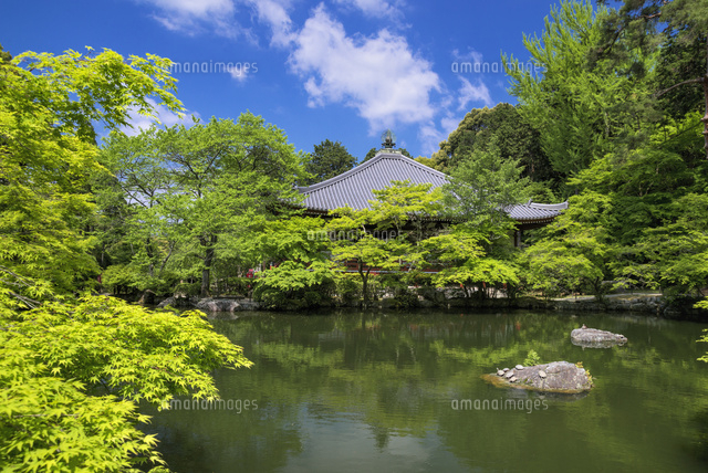 醍醐寺の観音堂
(c)YOSHITSUGU NISHIGAKI/SEBUN PHOTO