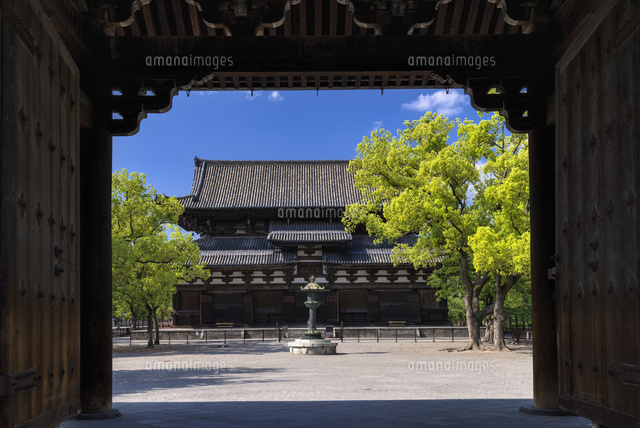 東寺の金堂
(c)YOSHITSUGU NISHIGAKI/SEBUN PHOTO