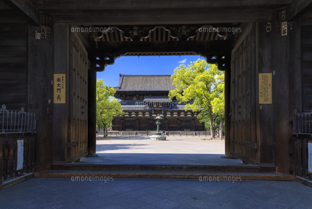 東寺の金堂
(c)YOSHITSUGU NISHIGAKI/SEBUN PHOTO