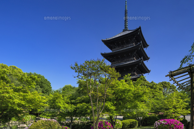 ツツジ咲く東寺と五重塔
(c)YOSHITSUGU NISHIGAKI/SEBUN PHOTO