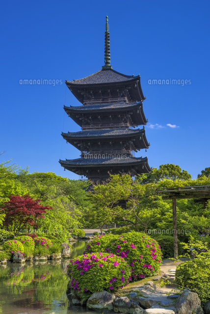 ツツジ咲く東寺と五重塔
(c)YOSHITSUGU NISHIGAKI/SEBUN PHOTO